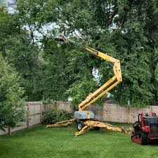 Trusted Litchfield Beach, SC Tree Removal and Landscaping Services Experts